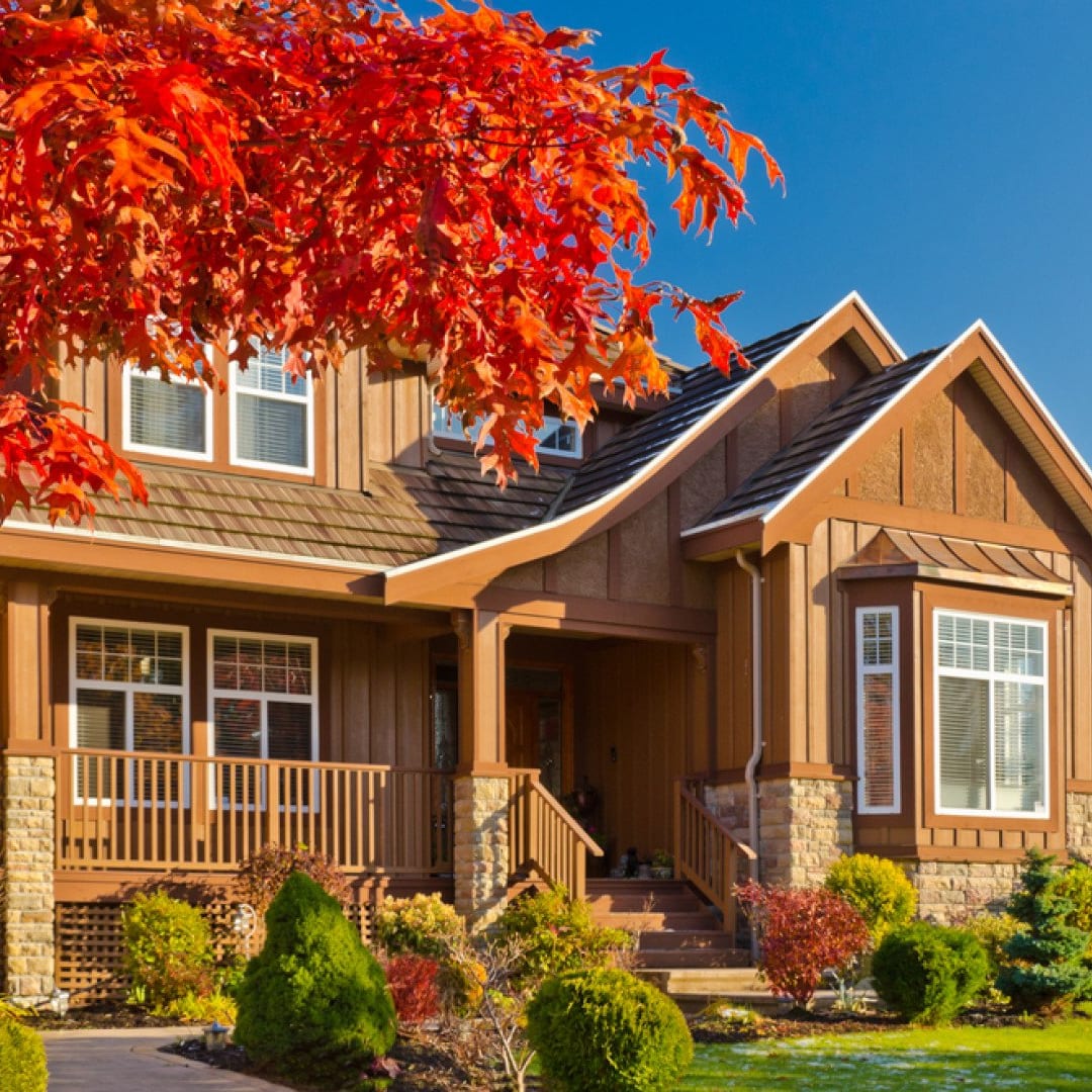Craftsman home with stone-clad columns, framed by a red maple